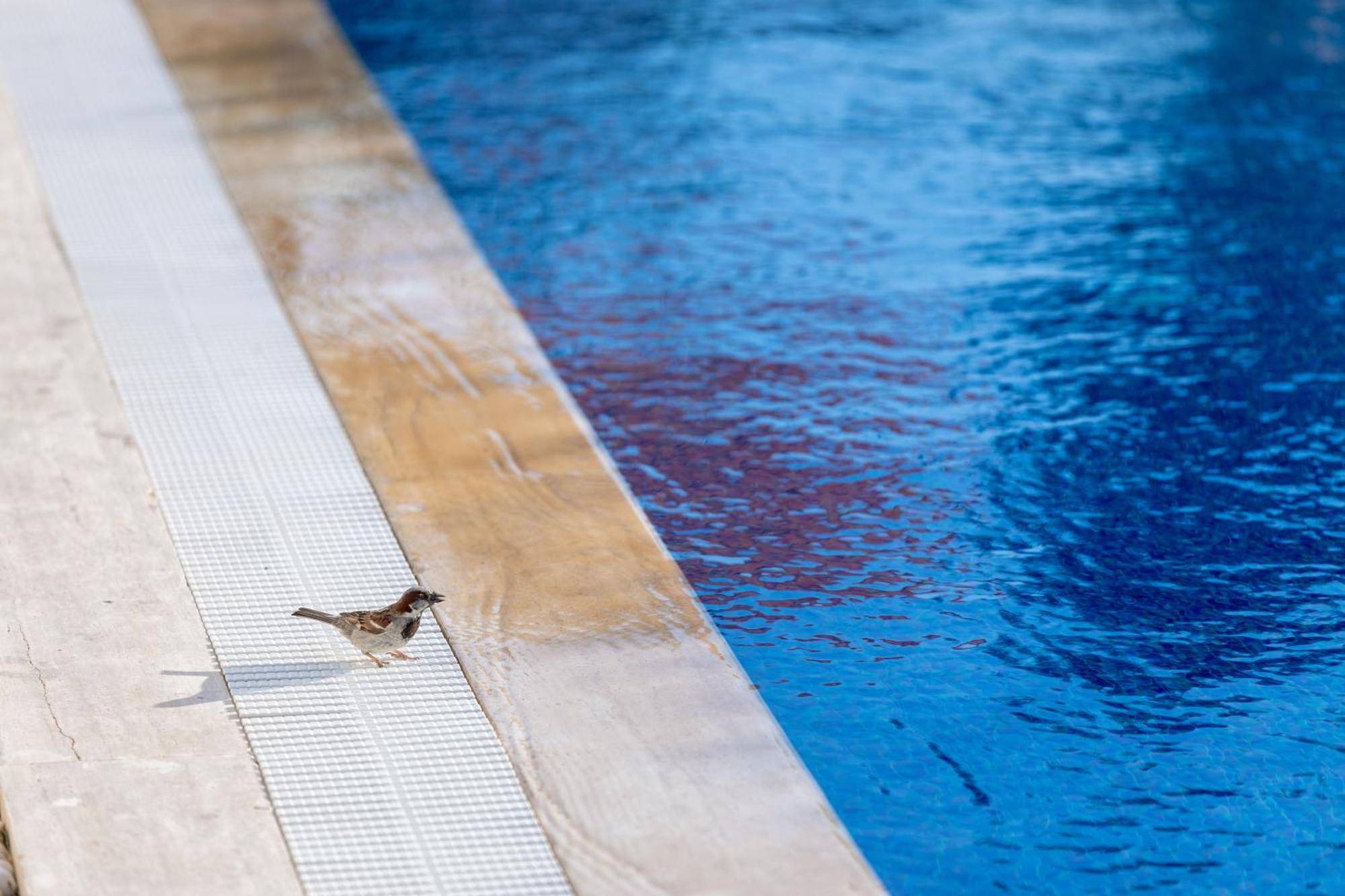 N Hotels Cesme Dalyankoy  Extérieur photo